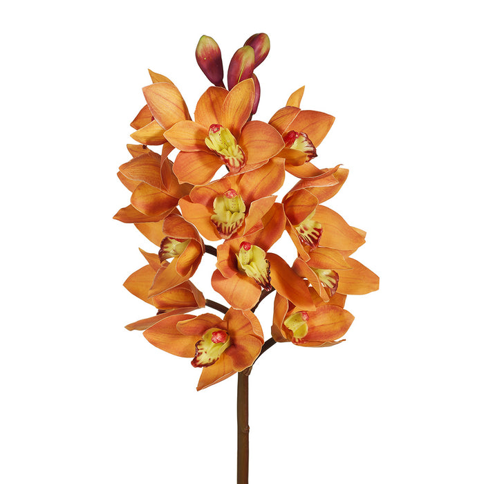 Orchid Cymbidium Stem 58cm Orange Pack of 6