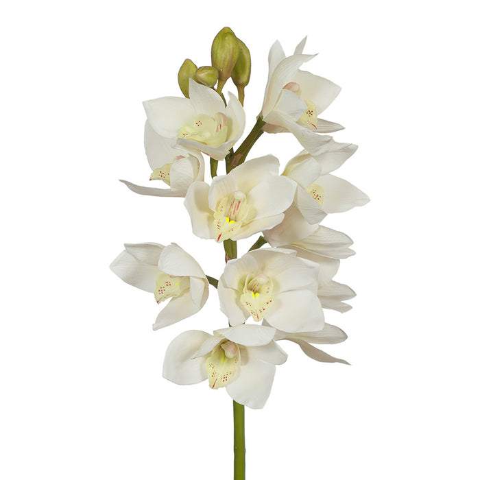 Orchid Cymbidium Stem 58cm White Pack of 6
