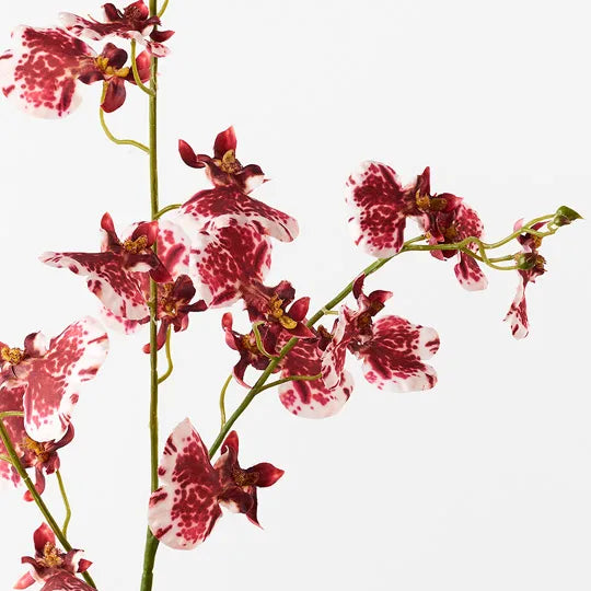 Orchid Dancing Spray Crimson Red 98cm Pack of 12