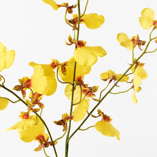 Orchid Dancing Spray Yellow 98cm Pack of 12
