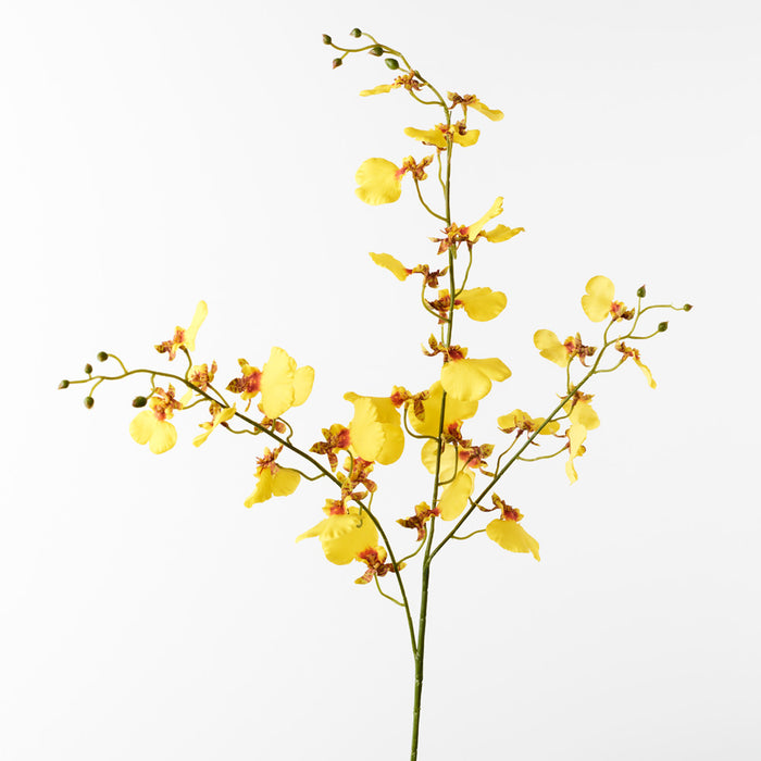 Orchid Dancing Spray Yellow 98cm Pack of 12