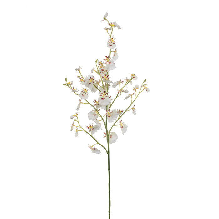 Orchid Dancing Stem 73cm White Pack of 12