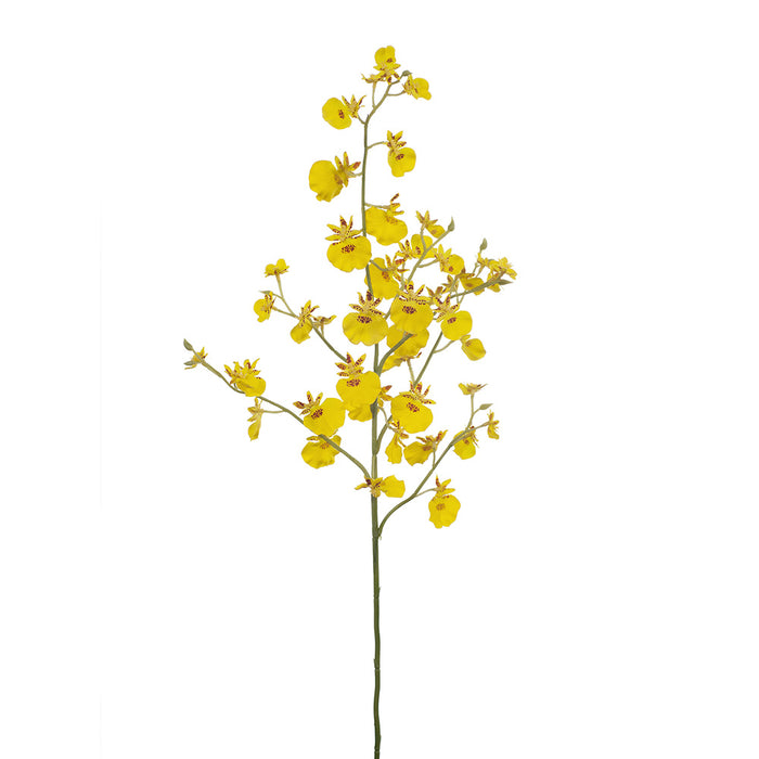 Orchid Dancing Stem 73cm Yellow Pack of 12