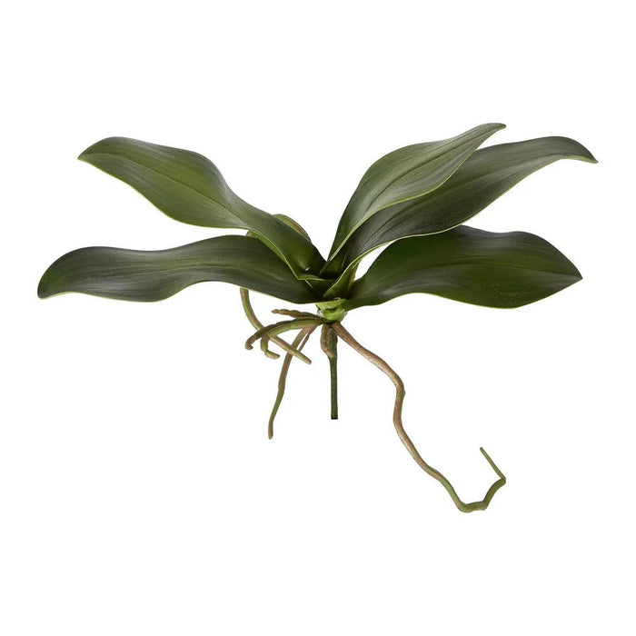 Orchid Leaf 30cm Pack of 6