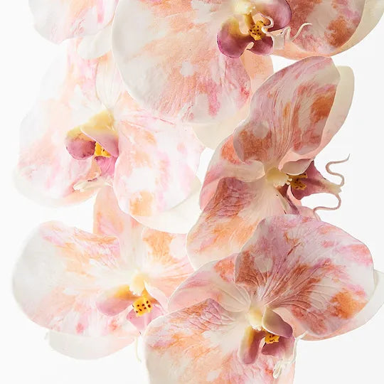 Orchid Phalaenopsis Infused Stem 96cm Pink Mauve Pack of 12