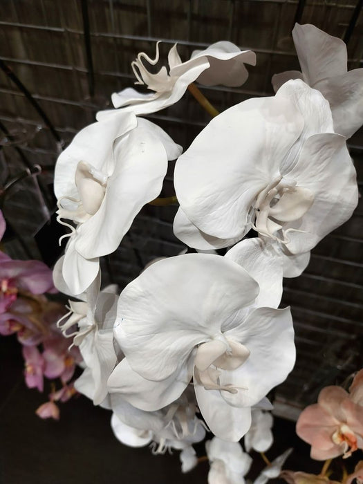 Orchid Phalaenopsis Infused Stem 96cm Winter White Pack of 12