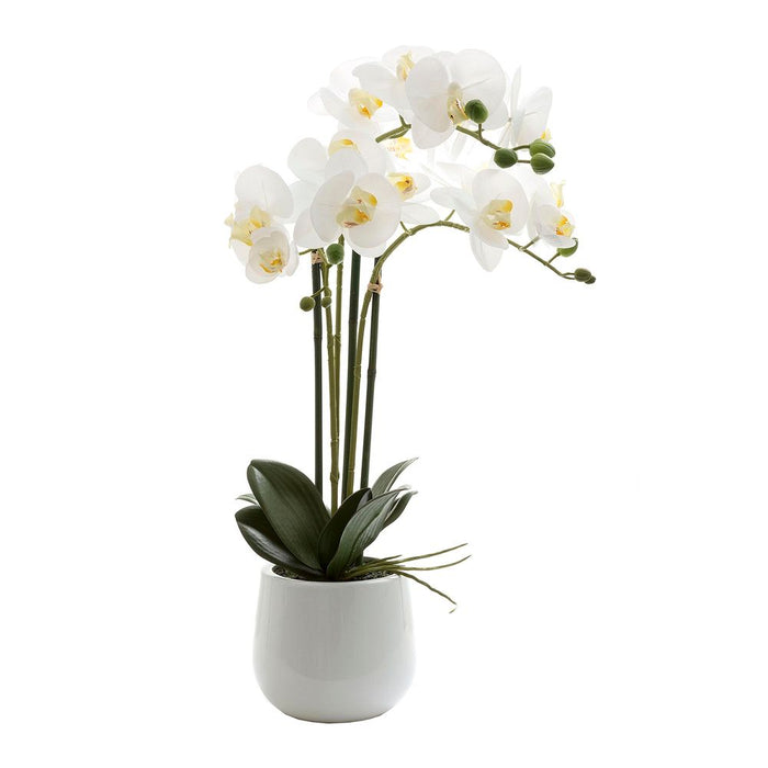 Orchid Phalaenopsis Real Touch Plant White In Gloss Ceramic Pot 60cm