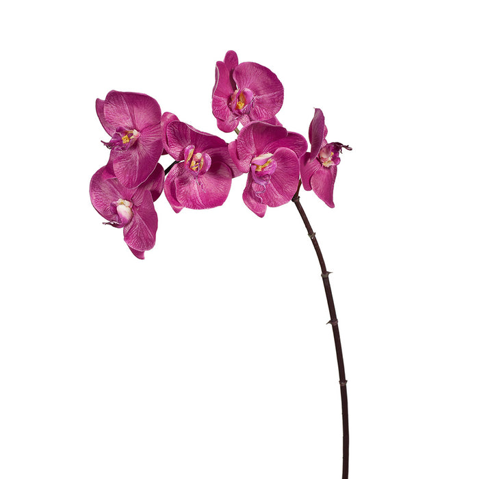 Orchid Phalaenopsis Spray 86cm Fuschia Pink Pack of 12