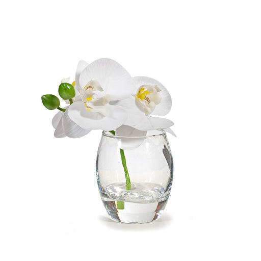 Orchid Phalaenopsis in Vase - White - 15cm Set of 6