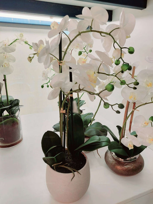 Orchid Real Touch in Ceramic Gold Pot 60cm White