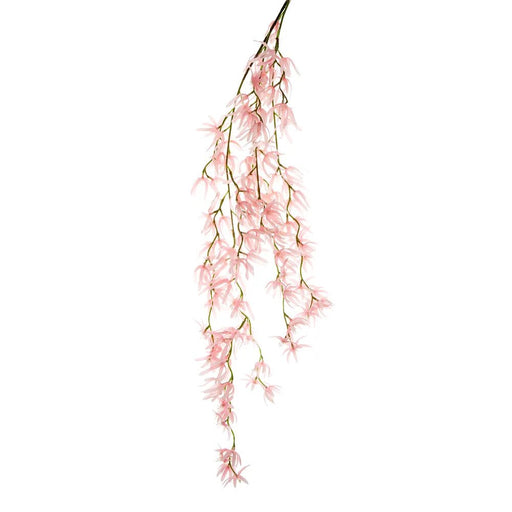 Orchid Spider Hanging 110cm Pink Pack of 12