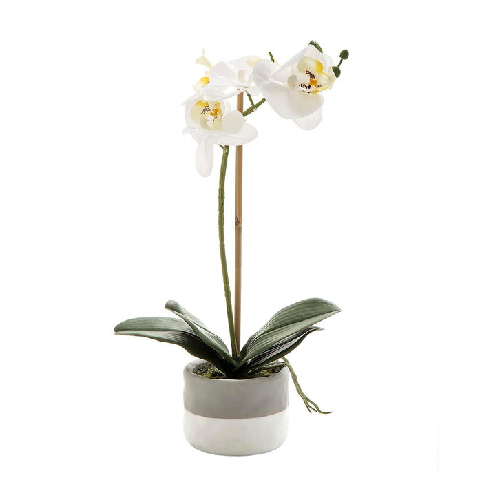 Orchid in Grey Pot - White - 40cm Set of 3