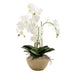 Orchid in Stone Pot Medium 65cm White
