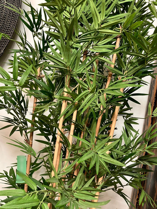Oriental Bamboo Tree 190cm