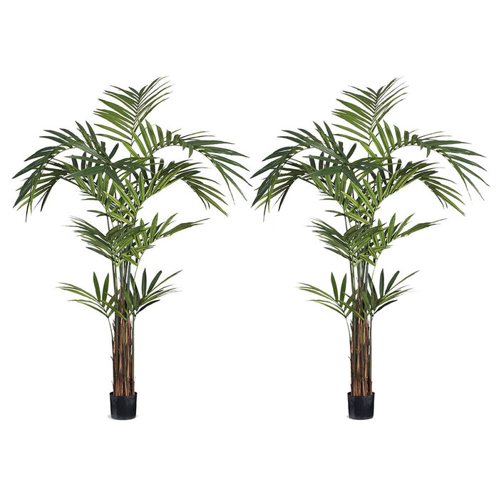 Palm Kentia Green 274cm Pack of 2