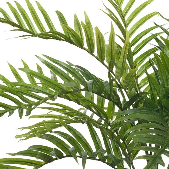 Palm Areca Plant Green 63cm Pack of 2