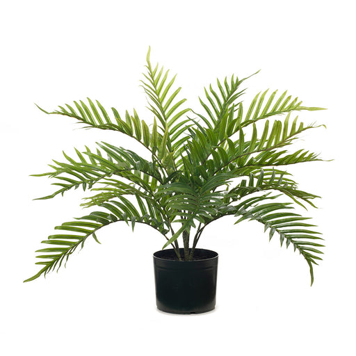 Palm Areca Plant Green 63cm Pack of 2