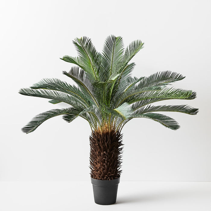 Palm Cycad Green 110cm Pack of 2