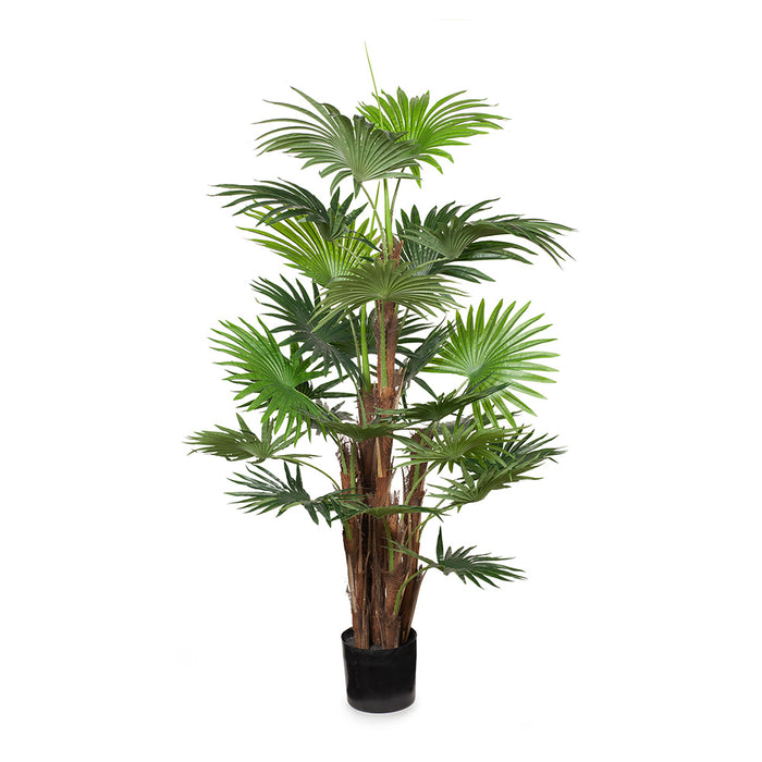 Palm Fan Plant Green 168cm Set of 2