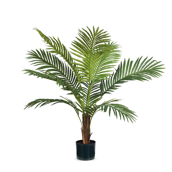Palm Kentia Green 106cm Pack of 2