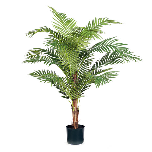 Palm Kentia Green 152cm Pack of 2