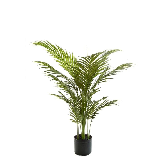 Palm Paradise Tree in a Pot 100cm