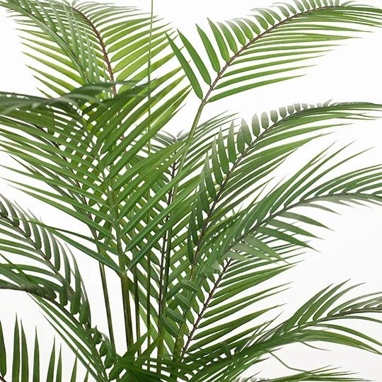 Palm Parlour Green 126cm Pack of 2