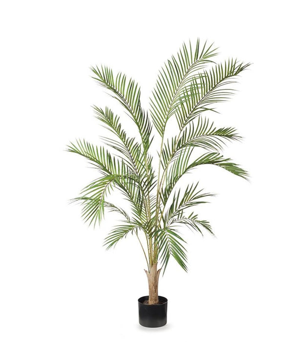 Palm Phoenix Tree Green 145cm Pack of 2