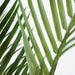 Palm Phoenix Tree Green 145cm Pack of 2