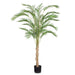Palm Phoenix Tree Green 210cm