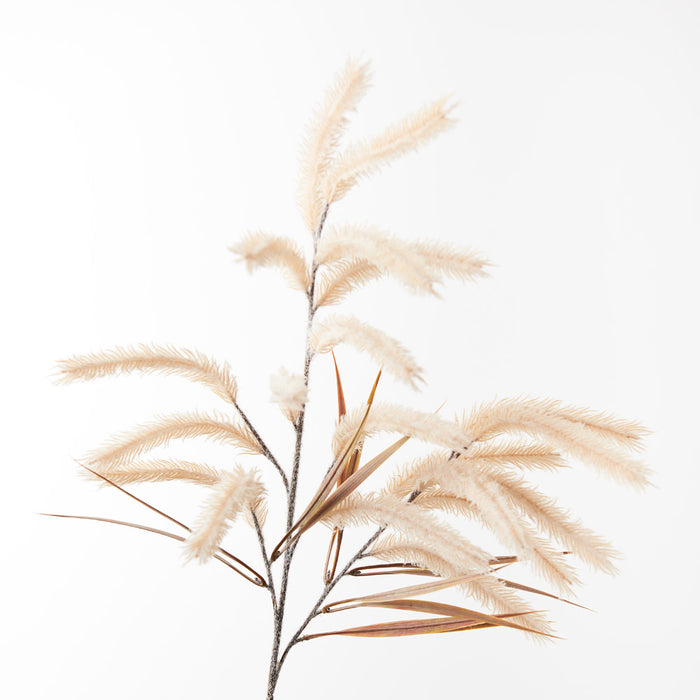 Pampas Grass Spray 79cm Cream Pack of 12