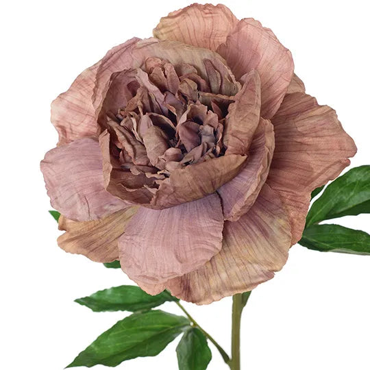 Peony Stem 63cm Dusty Mauve Pink Pack of 12