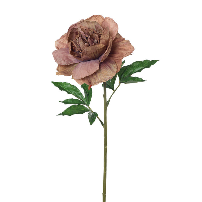 Peony Stem 63cm Dusty Mauve Pink Pack of 12