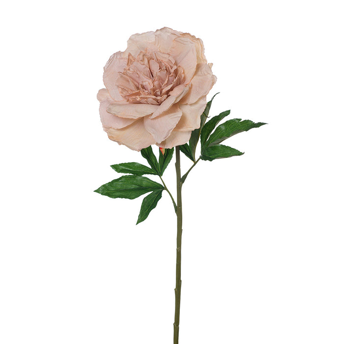 Peony Stem 63cm Dusty Pink Pack of 12