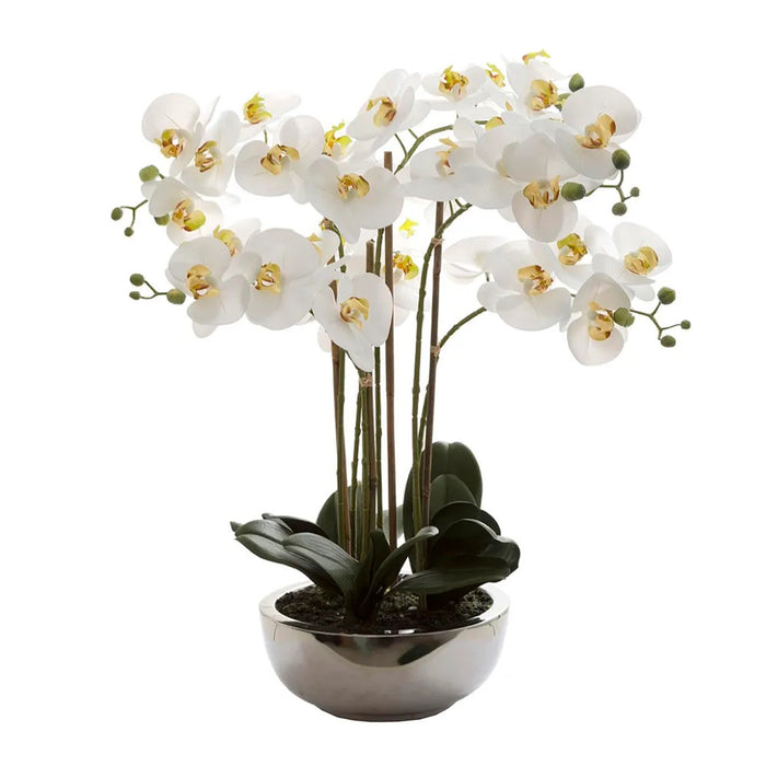 Phalaenopsis Real Touch In Silver Pot 50cm