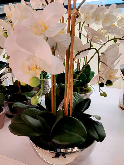 Phalaenopsis Real Touch In Silver Pot 50cm