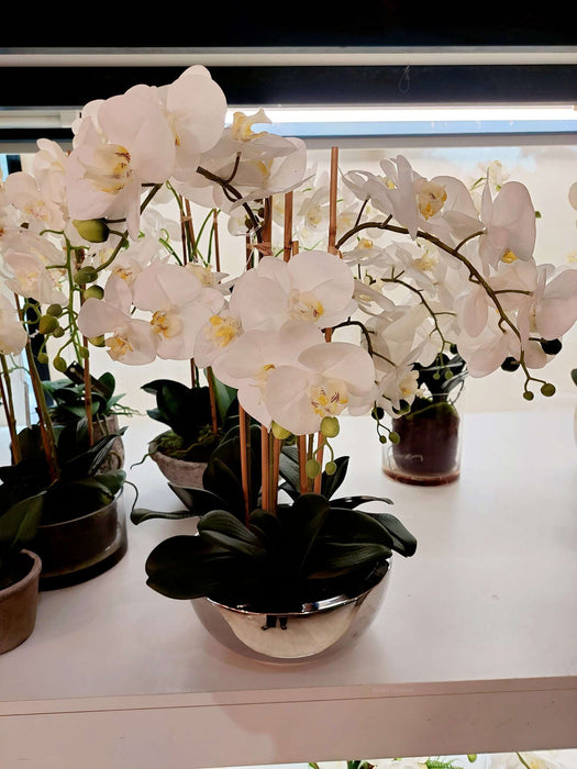 Phalaenopsis Real Touch In Silver Pot 50cm