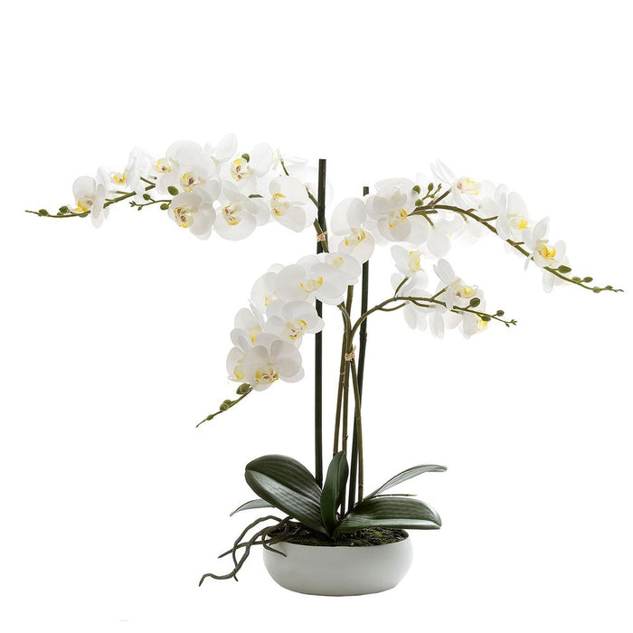 Phalaenopsis Real Touch Plant White In White Round Pot 45cm