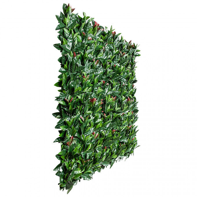 Photinia (Red Robin) Leaf Screens / Panels UV Resistant 1m X 1m