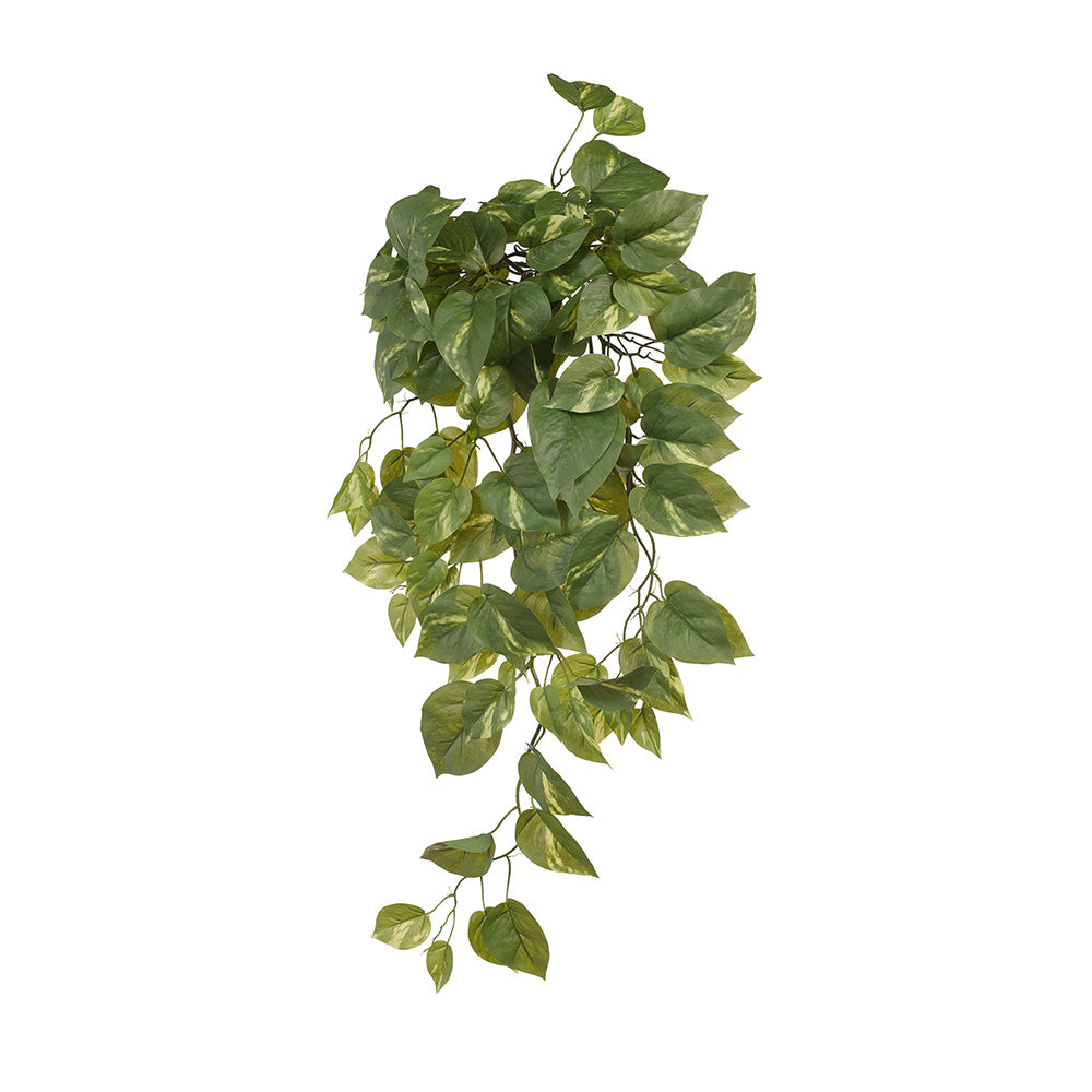 Artificial Pothos