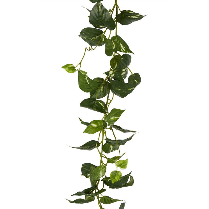 Pothos Leaf Hanging Garland Dark Green 180cm Set of 6