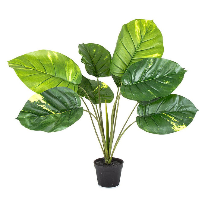 Pothos Plant Real Touch Leaves 70cm Pack of 2