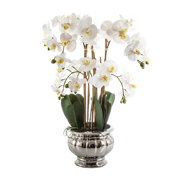 Potted Orchid In Silver Bowl 68cm White