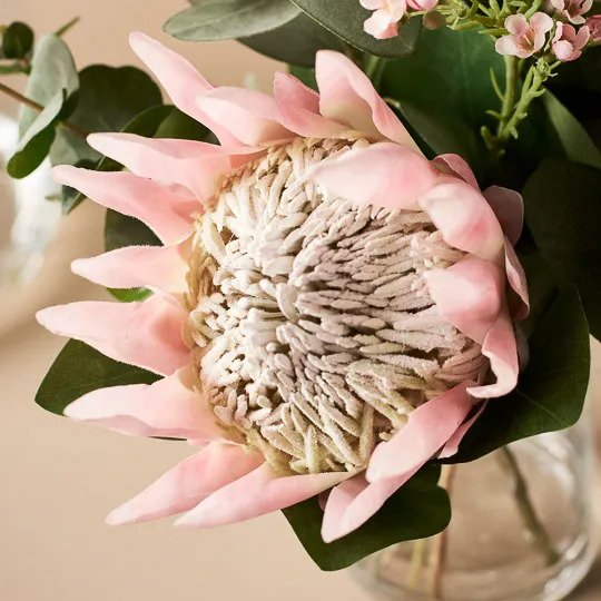 Protea King Mix in Vase - Light Pink - 30cm