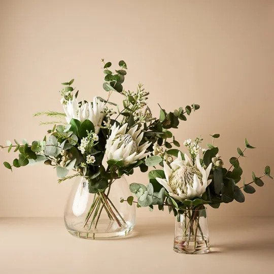 Protea King Mix in Vase - White - 57cm