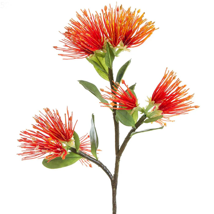 Protea Leucospermum 52cm Red Pack of 12