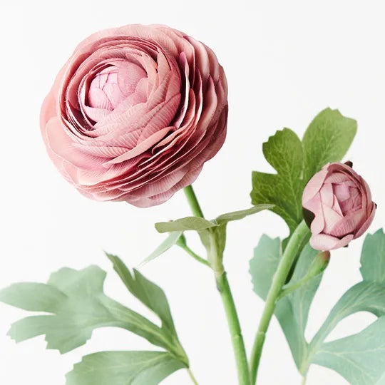 Ranunculus Spray 50cm Dusty Pink of 12