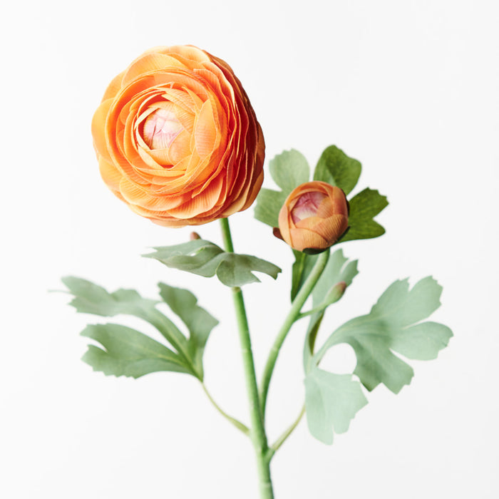 Ranunculus Spray 50cm Orange Pack of 12