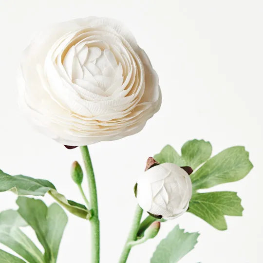 Ranunculus Spray 50cm Winter White Pack of 12