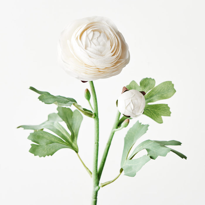 Ranunculus Spray 50cm Winter White Pack of 12